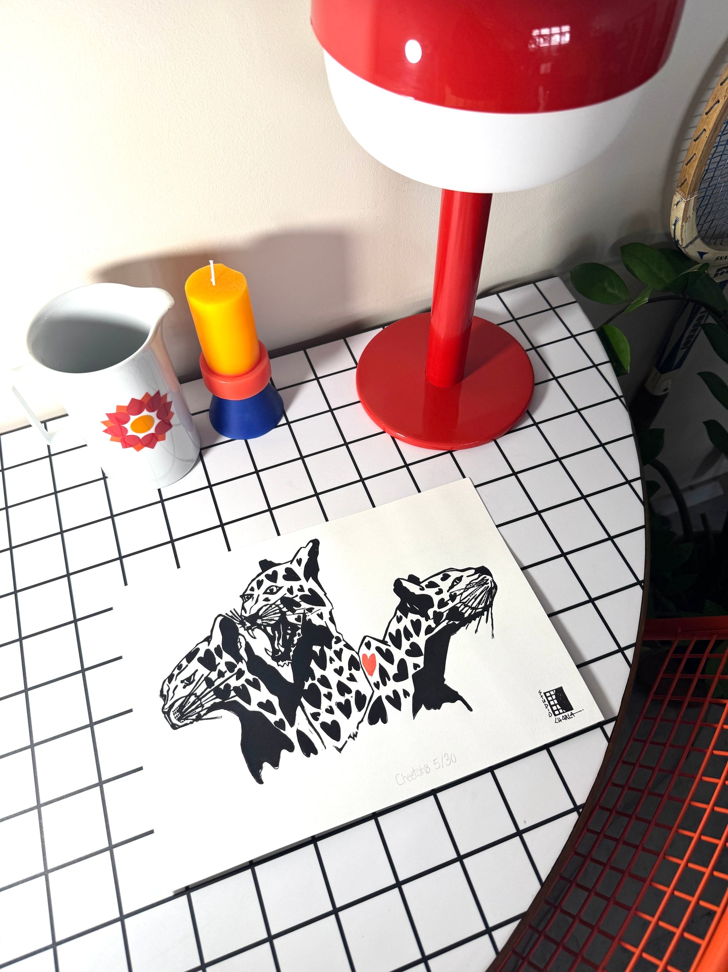 Cheetahs