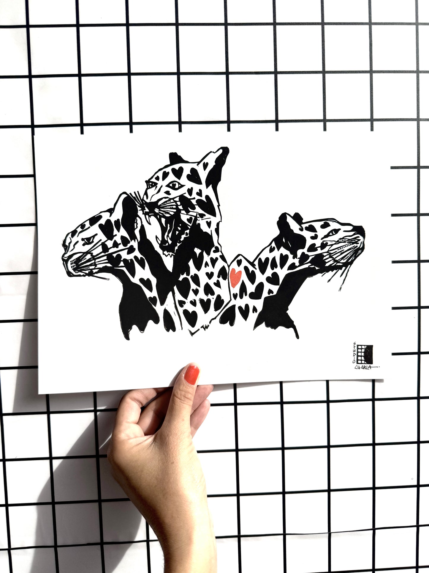 Cheetahs